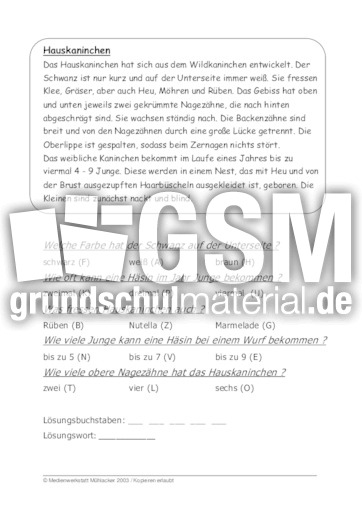 Hauskaninchen.pdf